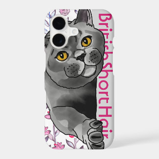 Gato British Shorthair + Nome do Pet