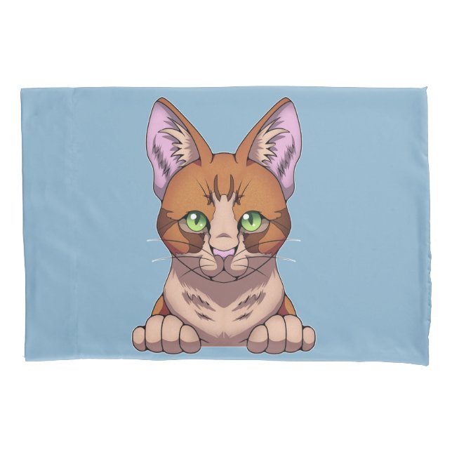 Gato Cinto (Frente)