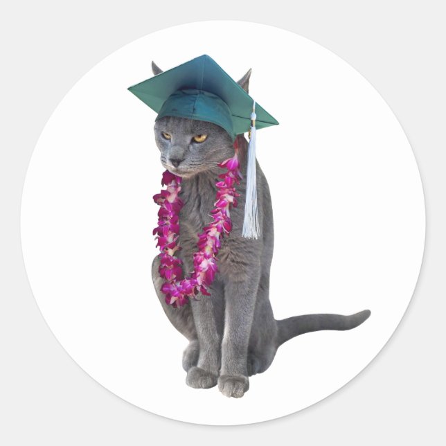 Gato com Adesivo de Graduação em Lei (Frente)