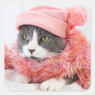 Gato com adesivos Rosa Hat Square, Brilhante