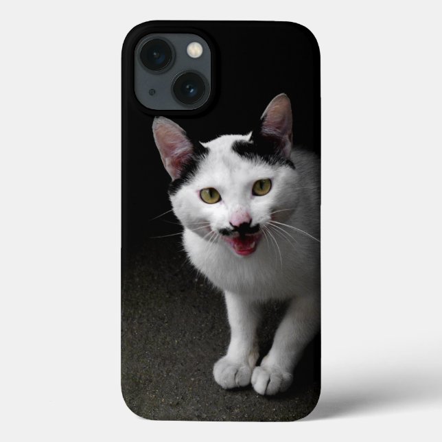 Gato com bigode (Verso)
