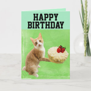 GATO COM BOLO DE ANIVERSÁRIO CARTÃO DE FELICITAÇÕE