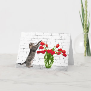 Gato com Cartão de Aniversário de Tulipas Vermel