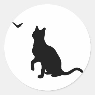 Gato com etiqueta da borboleta