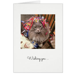 Gato com fita no Cartão de Aniversário da Cabeça