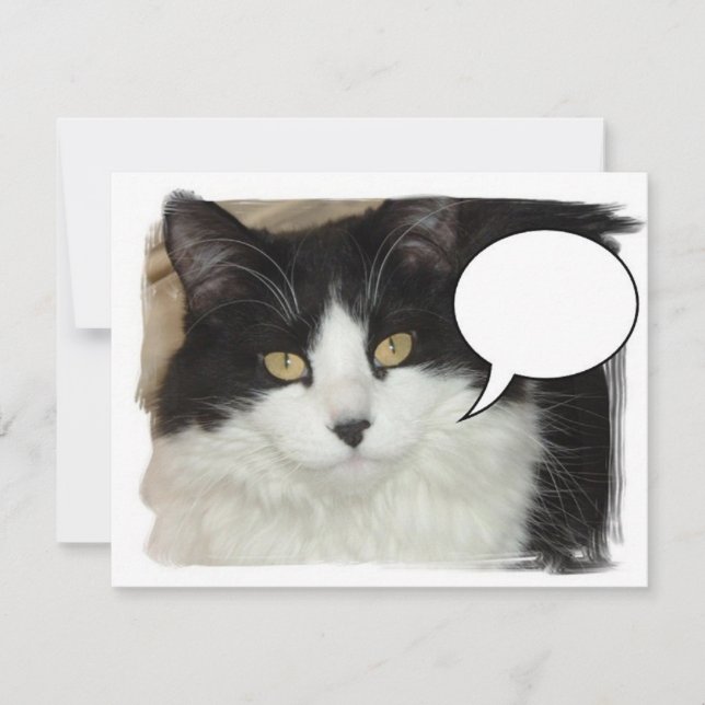 Gato com legendas (Frente)