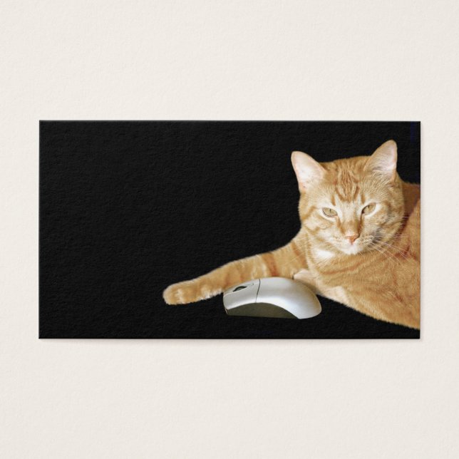 Gato com mouse de computador (Frente)