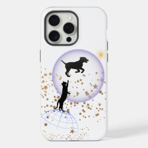 Gato curioso e cão correndo