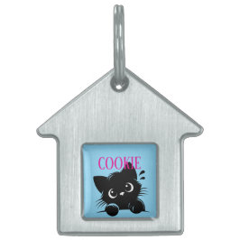 Gato Curioso Personalizado 