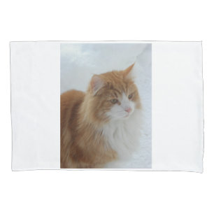 Gato_da_Floresta_Norueguesa