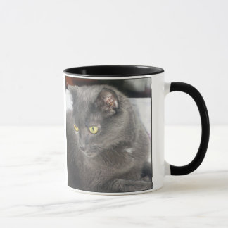 Gato das espiões na caneca profunda do pensamento