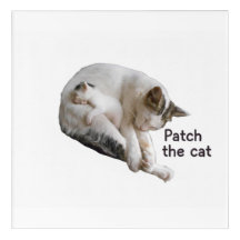 Gato de Arte de Parede acrílico é um verdadeiro ga