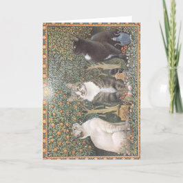 Gato de Cartão de Natal