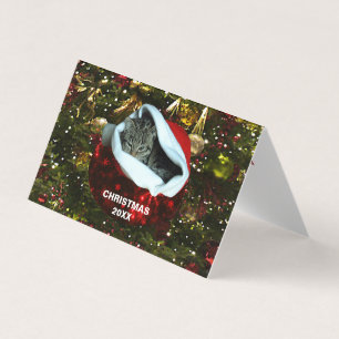 Gato de Cinza de Shorthair no Red Santa Hat Natal 