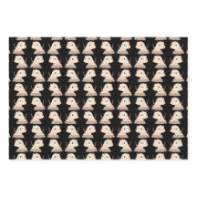 Gato de Gato - Gato de Ioga