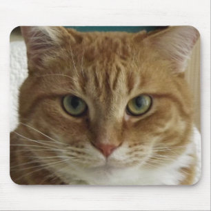 Gato de gato malhado alaranjado Mousepad