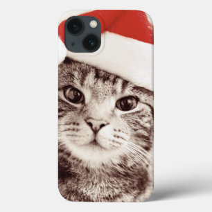 Gato de gato malhado doméstico que veste o chapé