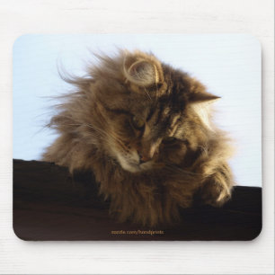 gato de gato malhado Mousepad do Longo-cabelo
