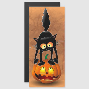 Gato de Halloween Assustado Personagem de Desenho 