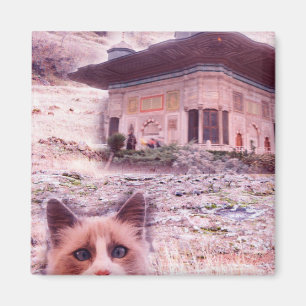 Gato De Íman Quadrado De 5,1 Cm
