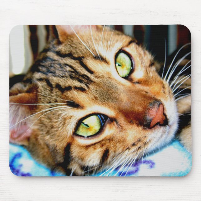 Gato de Mousepad Bengal (Frente)