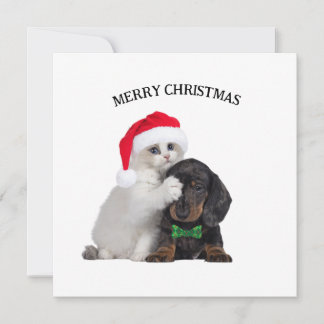 Gato de Natal bonito e Cartão de Natal Engraçado p