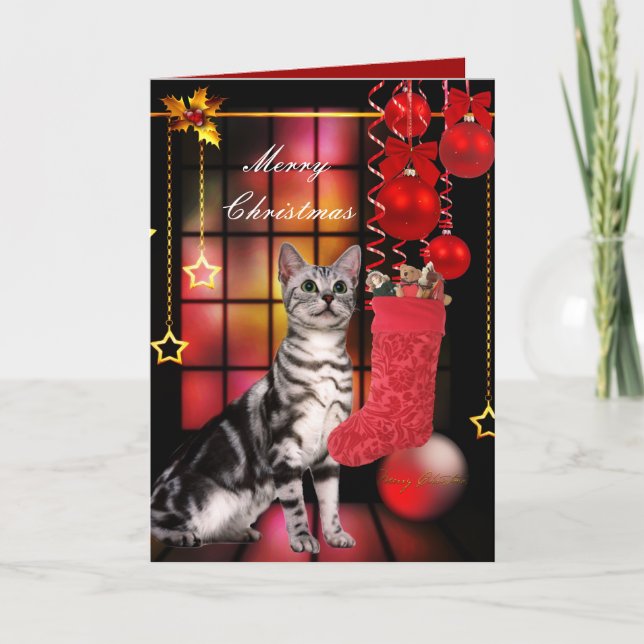 Gato de Natal de Cartão (Frente)