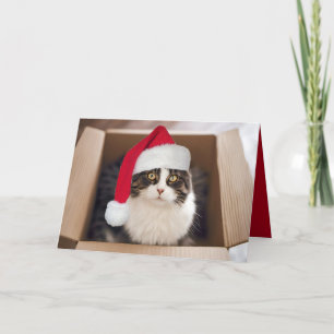 Gato de Natal na Caixa de Cartão