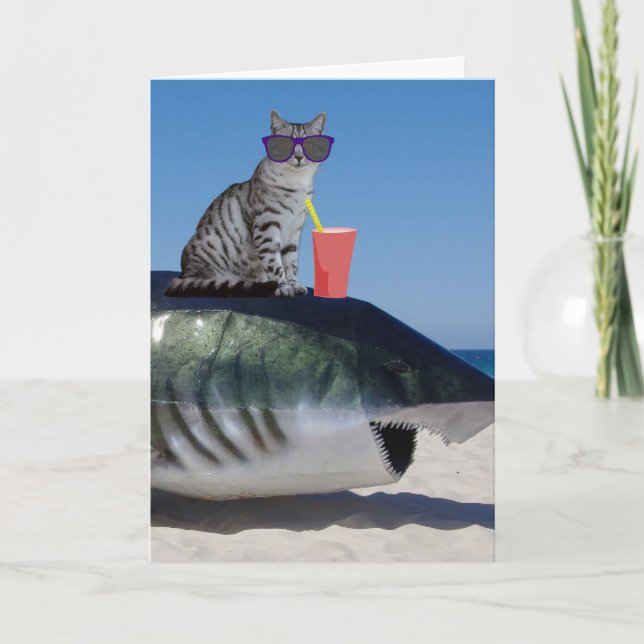 GATO DE PRAIA NO CARTÃO DE ANIVERSÁRIO DO SHARK FU (Frente)