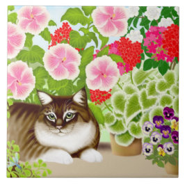 Gato de racum de Maine no azulejo do jardim do