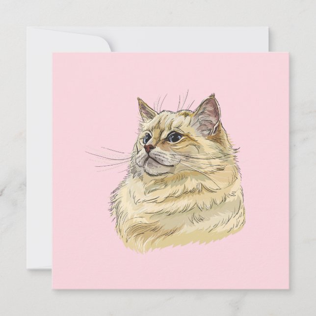 Gato de Ragdoll que desenhava a mão (Frente)