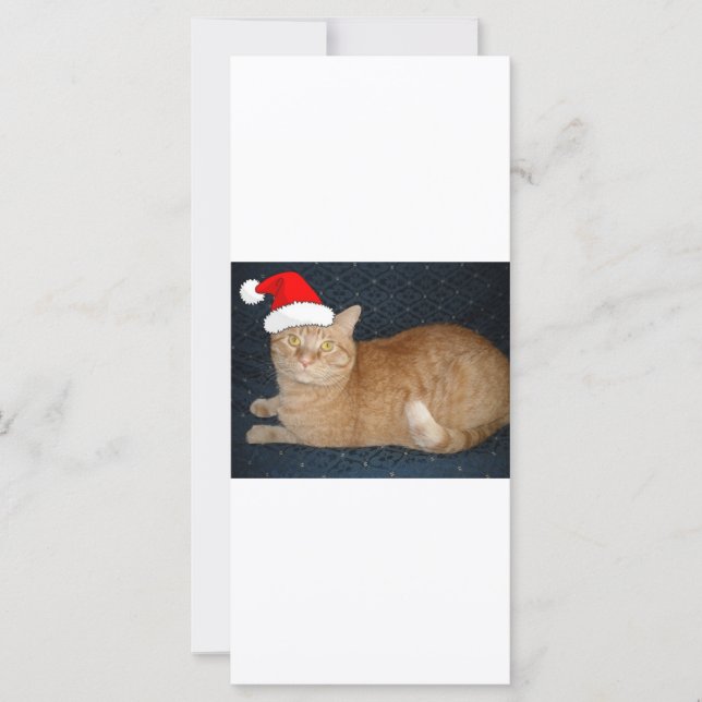 Gato de Tabby Laranja Natal (Frente)