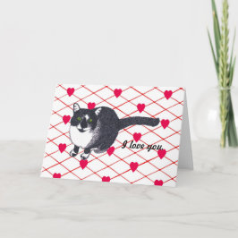 Gato de Tuxedo bonito, adoro-te o cartão