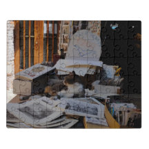 Gato de Venice Bookstore