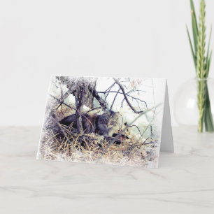 Gato de Woodland no Cartão de Férias de Natal da N