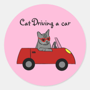 Gato dirigindo um autocolante