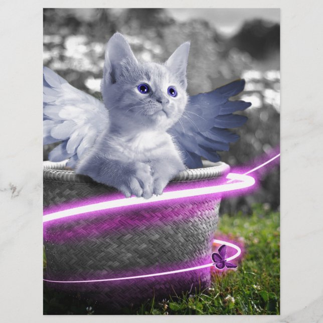 gato-do-anjo (Frente)