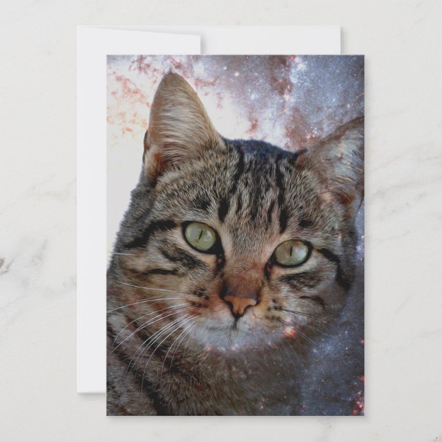Gato do Espaço (Frente)