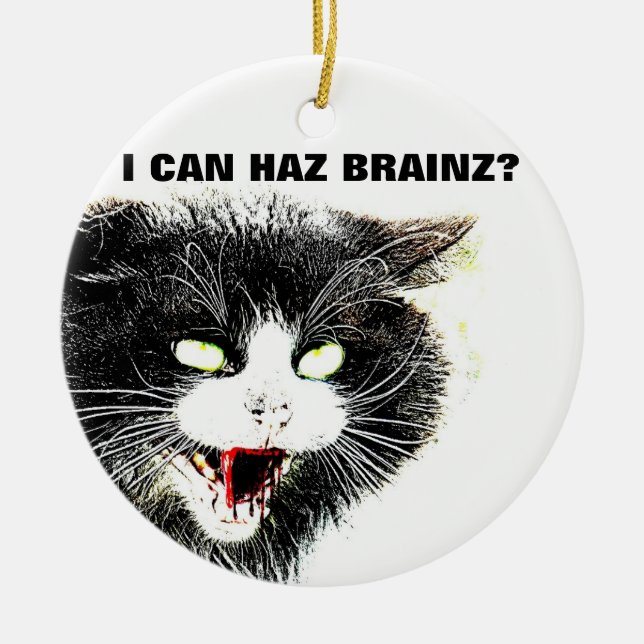 Gato do zombi eu posso ornamento de Haz Brainz (Frente)