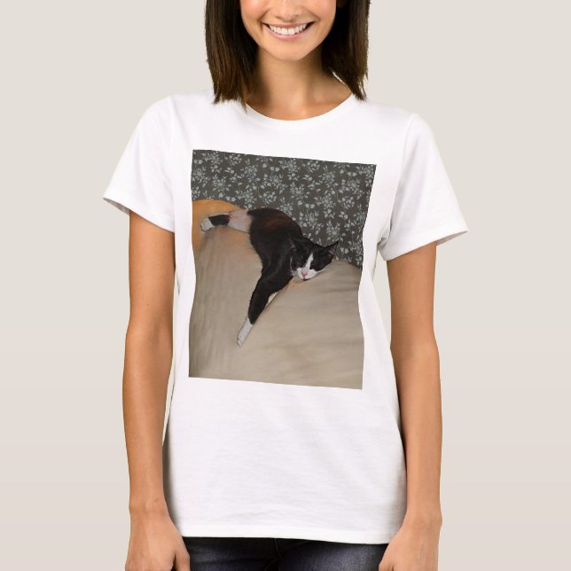 Gato dormindo em cima de Couch Womens Camiseta Bás (Frente)