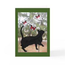 Gato e borboletas, cartão de pensando em você