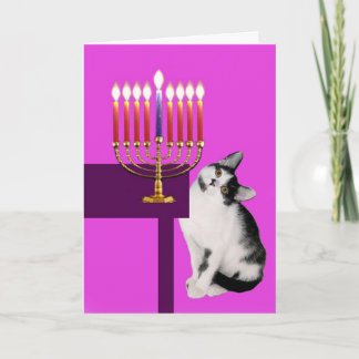 Gato e cartão cor-de-rosa de Menorah Hanukkah