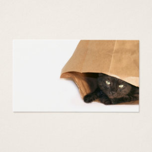 Gato em um cartão de visita do saco