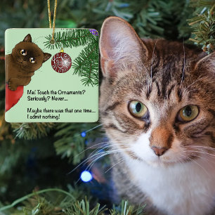 Gato Enfeite de Natal Marrom