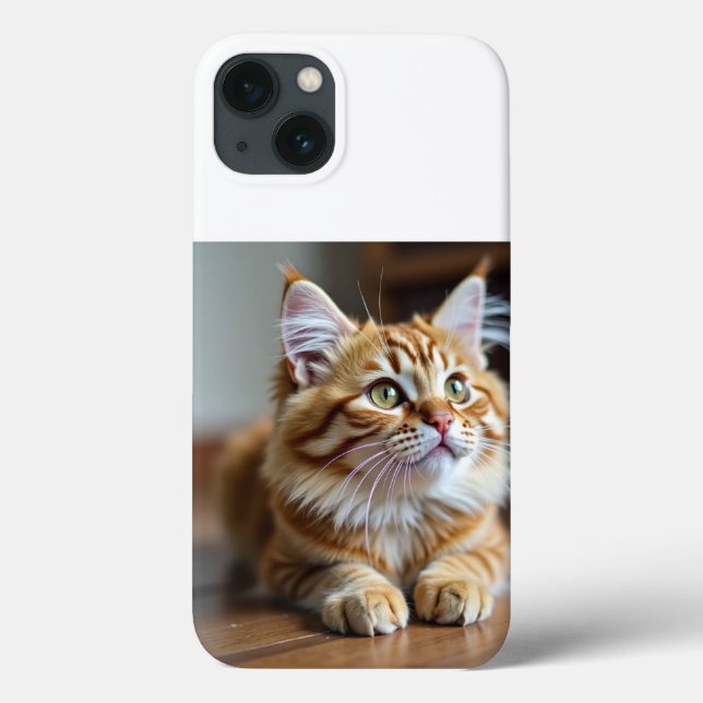 Gato engraçado (Verso)