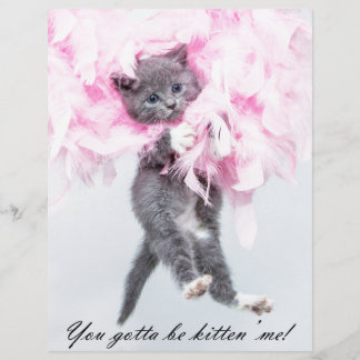 Gato Engraçado Humorístico