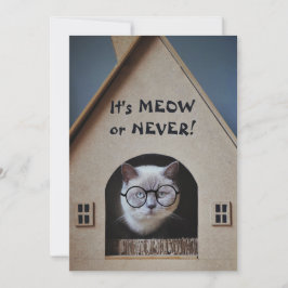Gato Engraçado Usando Óculos É Meow ou Nunca Citaç