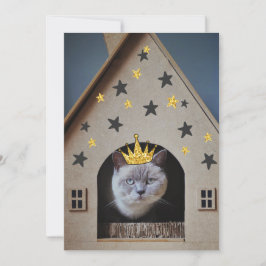 Gato Engraçado Vestindo Coroa de Brilho Dourado