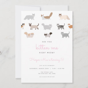 Gato Engraçado, Você Me Gatou O Convite De Anivers