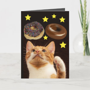 GATO ESPACIAL COM CARTÕES DE ANIVERSÁRIO DE ROSQUI